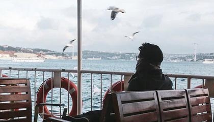 从茶园到茶桌：广佛精品茶室的选茶标准